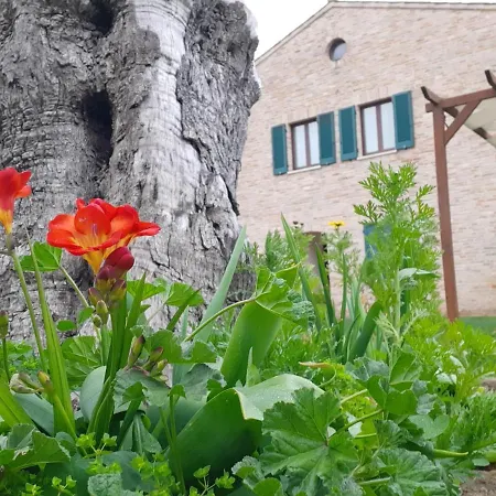 Hotel apartamentowy Casale Del Conero