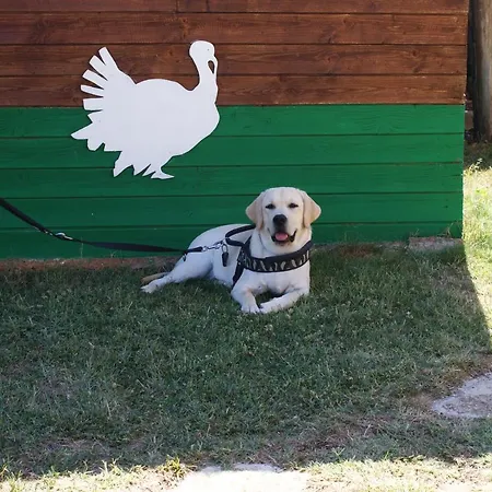 Casale Del Conero 포르토레카나티