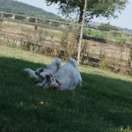 Casale Del Conero 아파트호텔