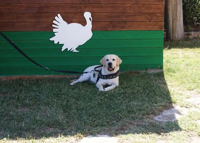 Casale Del Conero Porto Recanati